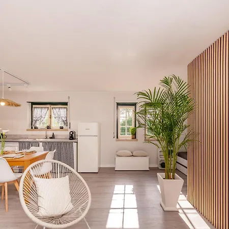 Casa Do Ze Grande - Private Patio With Bbq Apartment